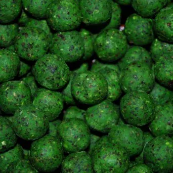 Boilie Nutra Line Oliheň 1kg 20mm