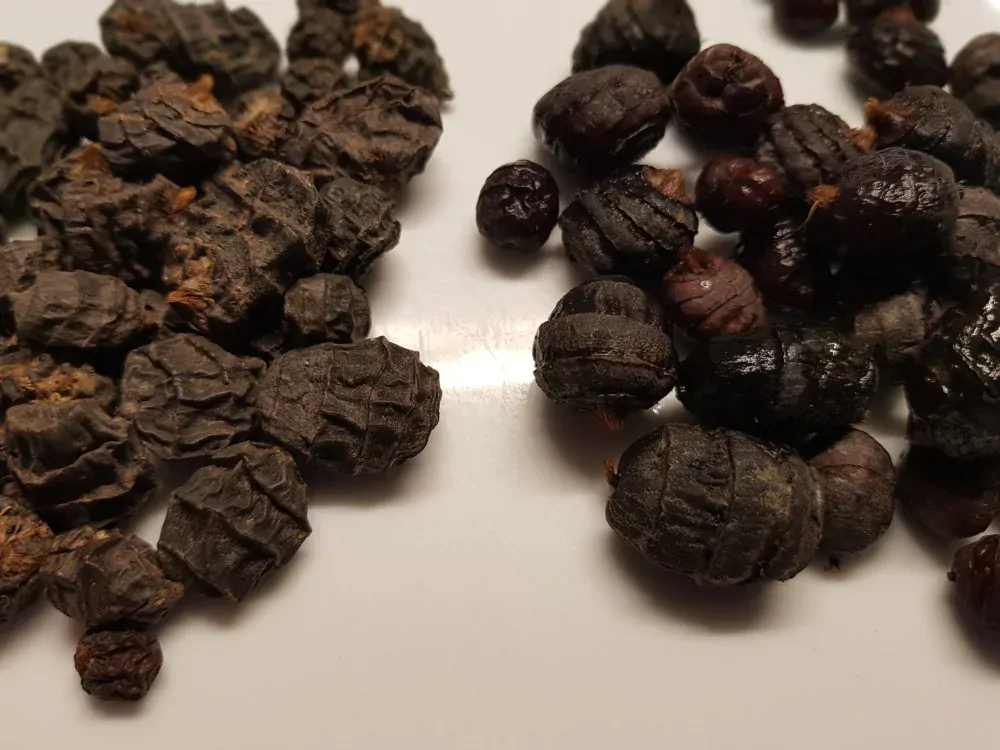 Černý tygří ořech 15-35mm 12,5kg