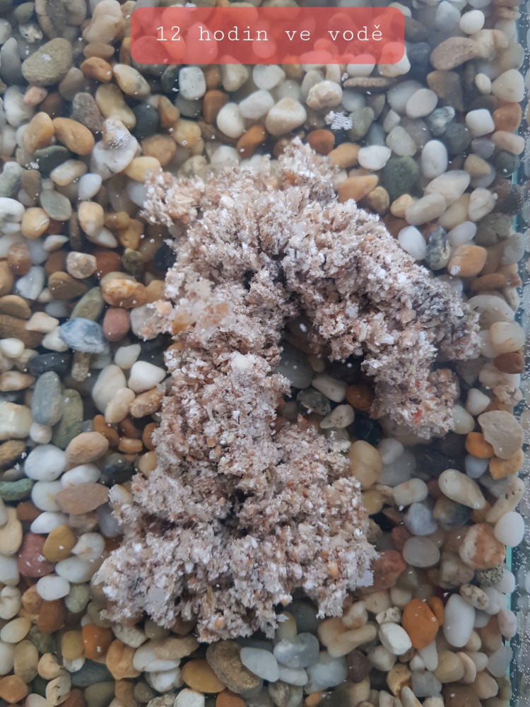 Pšeničné pelety 11mm